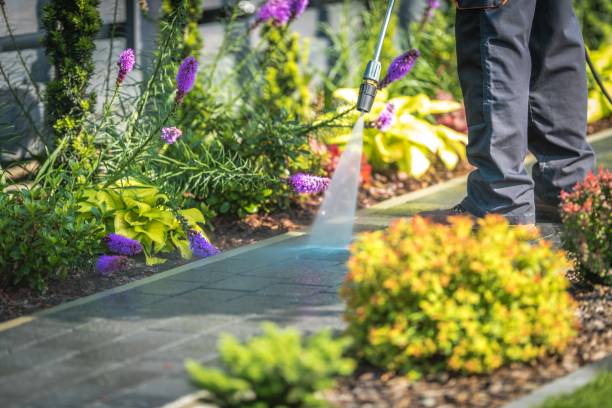 Best Dumpster Area Cleaning  in Dahlone, GA
