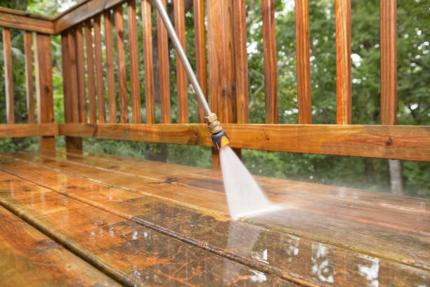 Best Solar Panel Cleaning  in Dahlone, GA