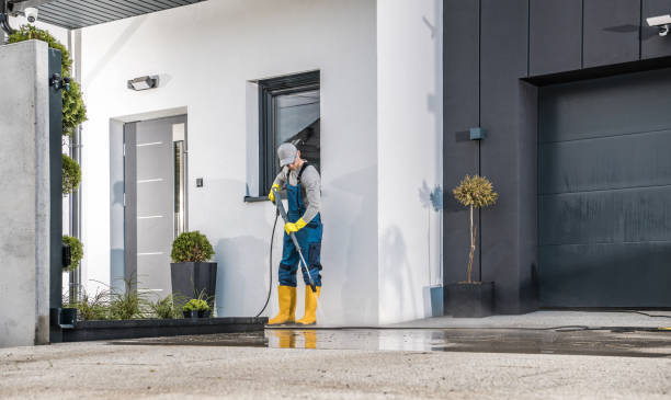 Reliable Dahlonega, GA  Pressure Washing Services Solutions